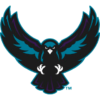 Rochester Knighthawks
